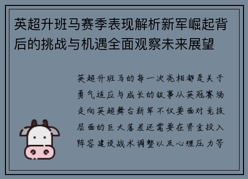英超升班马赛季表现解析新军崛起背后的挑战与机遇全面观察未来展望